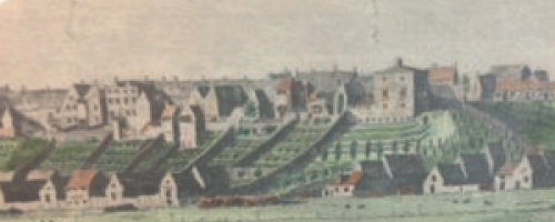 Hanging Gardens etching colour