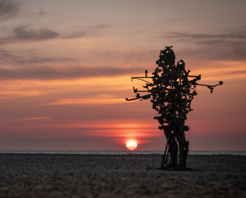 Sunrise at First Light